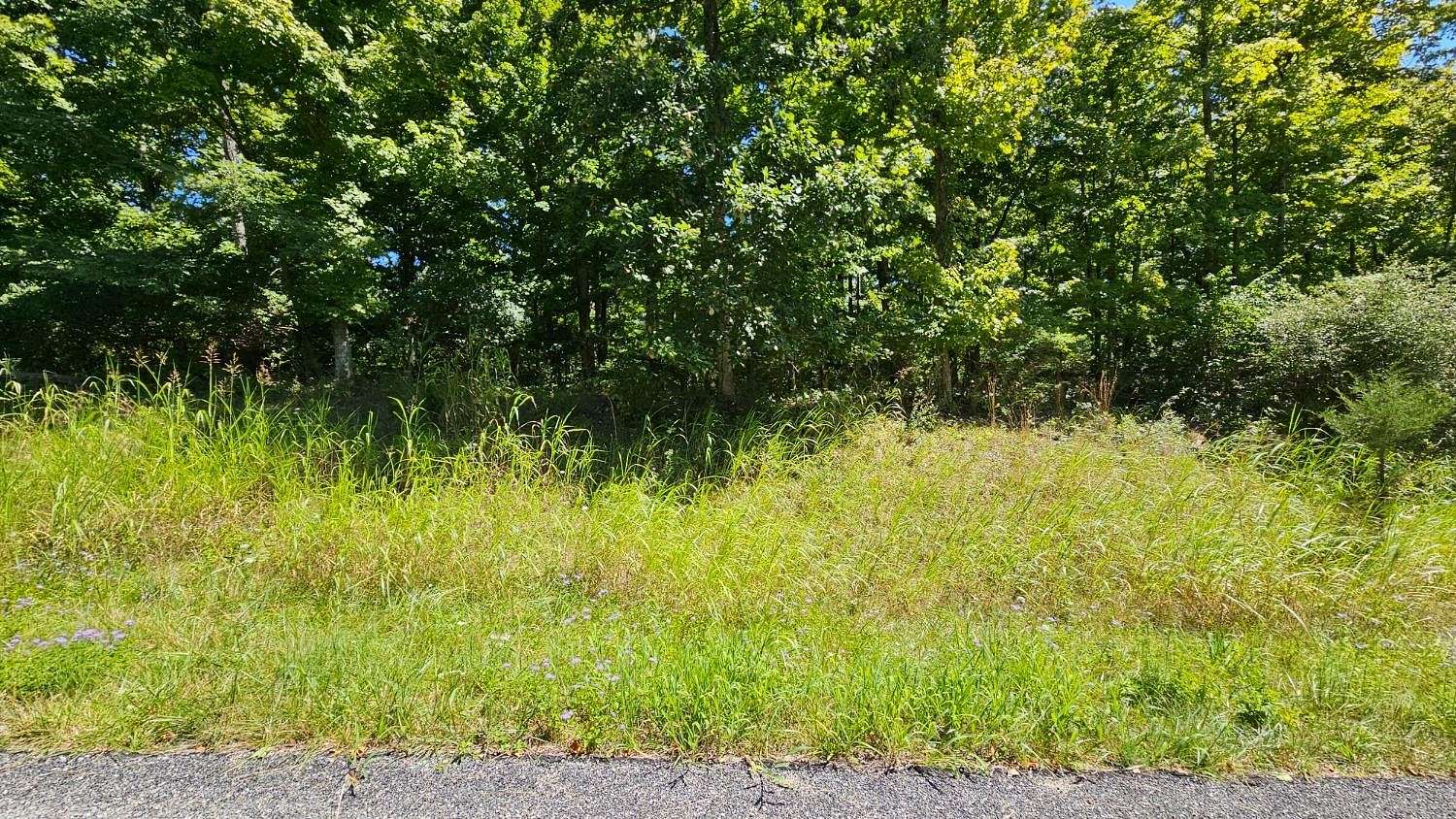 0.52 Acres of Residential Land for Sale in Aurora, Indiana