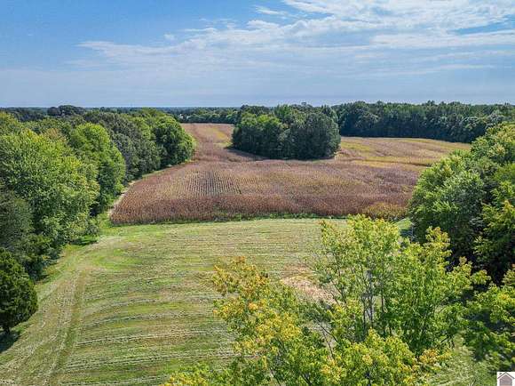 37.8 Acres of Land for Sale in West Paducah, Kentucky