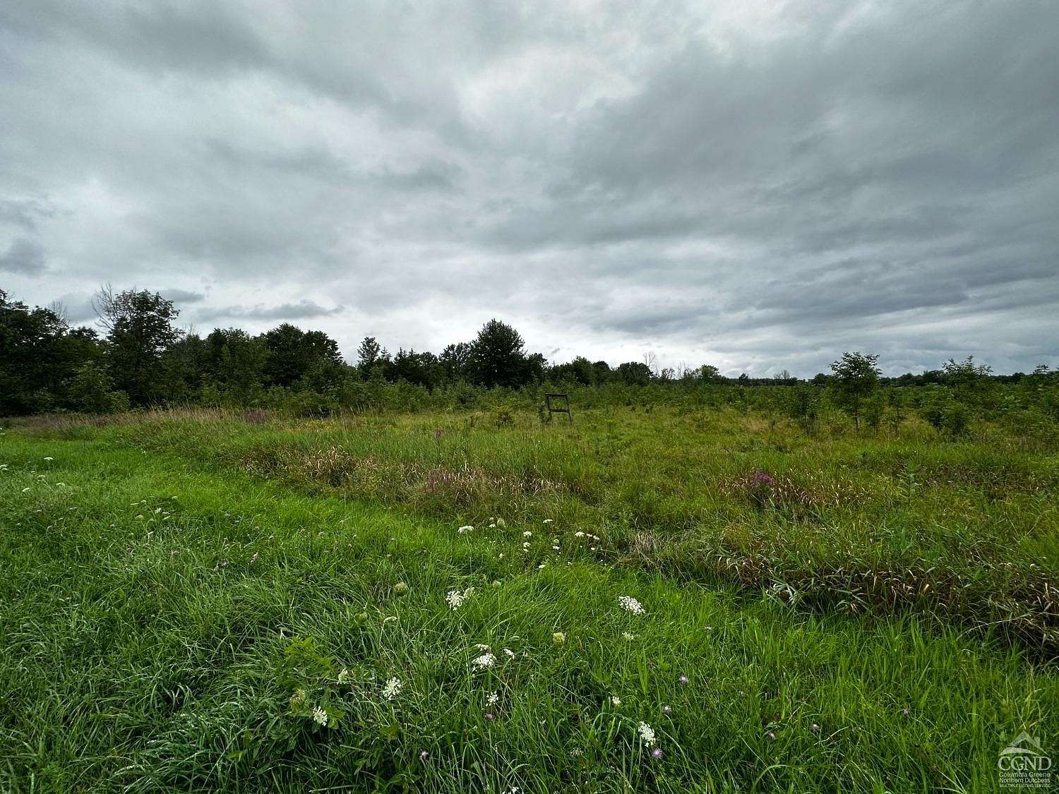 33.6 Acres of Land for Sale in Athens, New York
