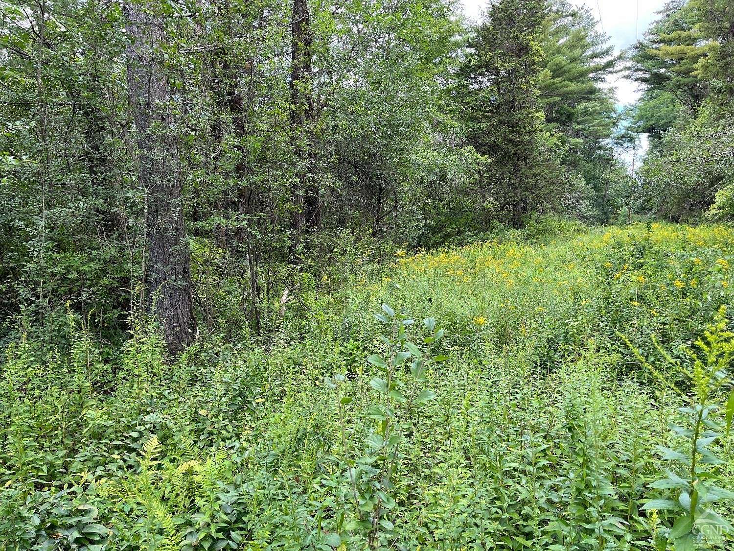 4.8 Acres of Land for Sale in Earlton, New York