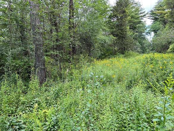 4.8 Acres of Land for Sale in Earlton, New York