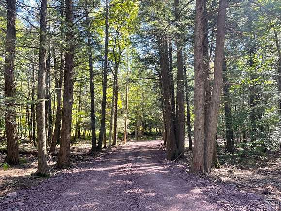 7.7 Acres of Residential Land for Sale in Haines Falls, New York