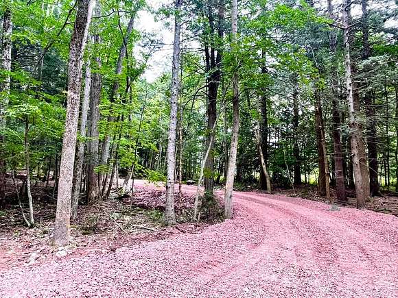 7.7 Acres of Residential Land for Sale in Haines Falls, New York