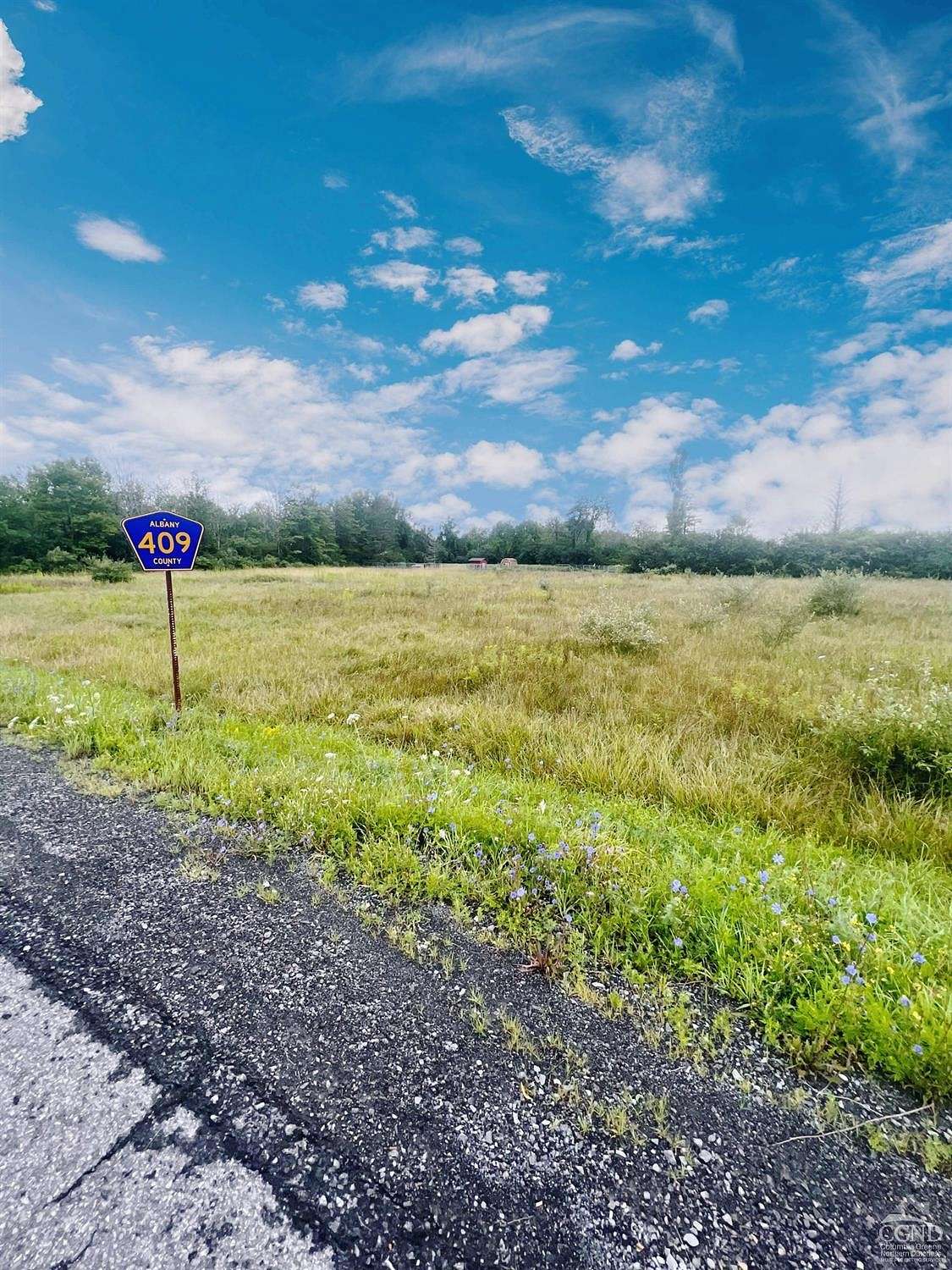2 Acres of Residential Land for Sale in Westerlo, New York
