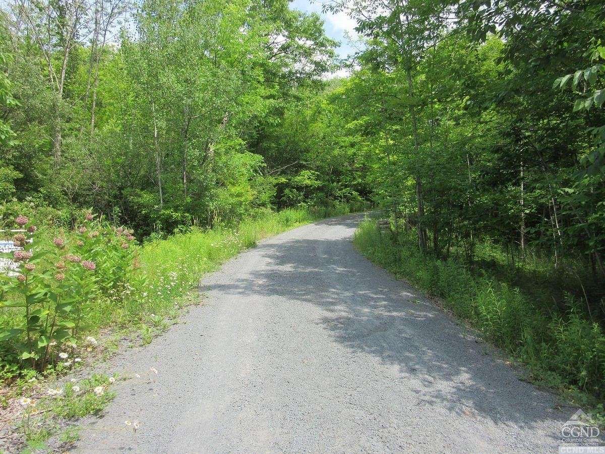 31.6 Acres of Land for Sale in East Jewett, New York