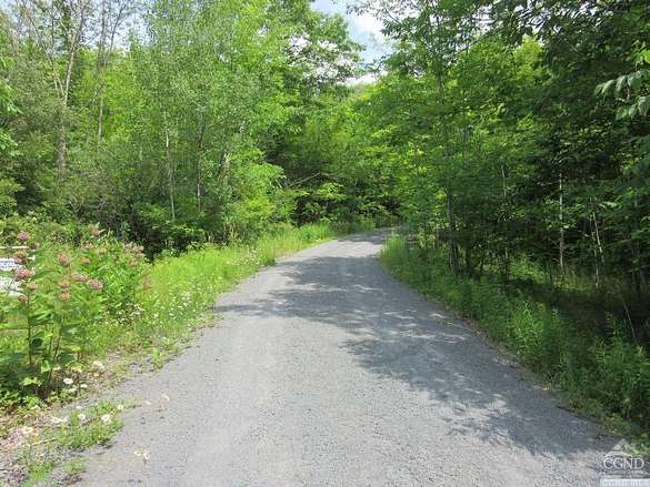 31.6 Acres of Land for Sale in East Jewett, New York