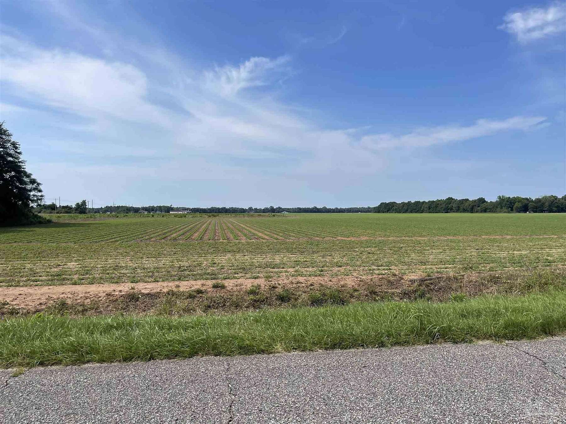58 Acres of Land for Sale in Jay, Florida