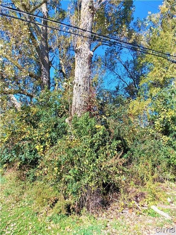 0.25 Acres of Land for Sale in Carthage, New York