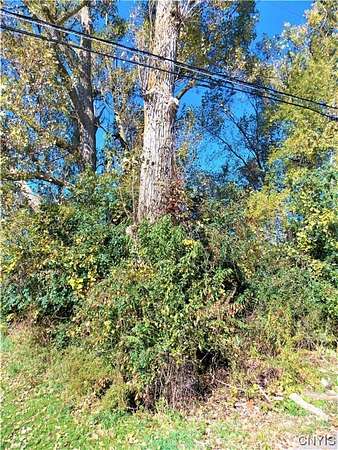 0.25 Acres of Land for Sale in Carthage, New York