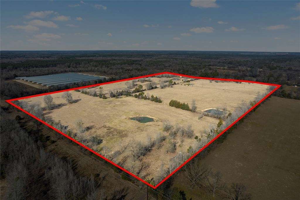 47.8 Acres of Land for Sale in Pittsburg, Texas