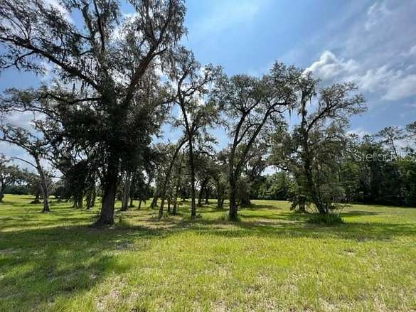 20.6 Acres of Agricultural Land for Sale in Ocala, Florida