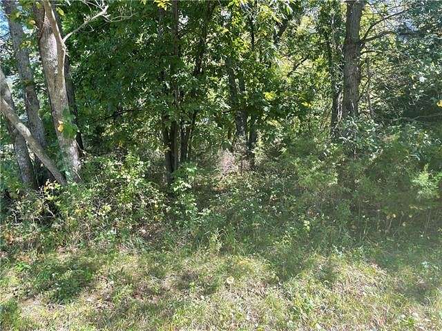 0.38 Acres of Residential Land for Sale in Altamont, Missouri