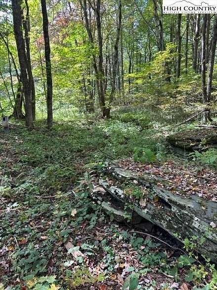 0.12 Acres of Residential Land for Sale in Creston, North Carolina