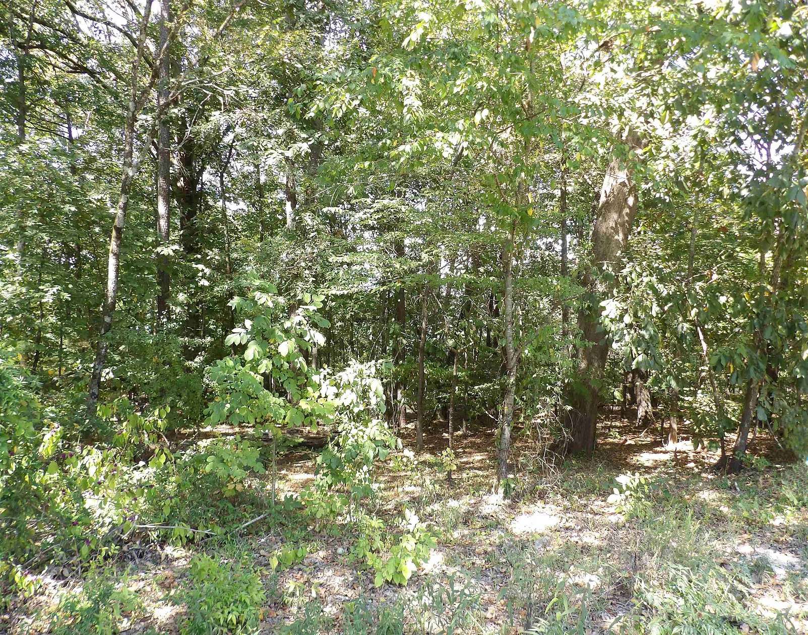 0.44 Acres of Residential Land for Sale in Monticello, Arkansas