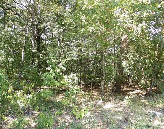 0.44 Acres of Residential Land for Sale in Monticello, Arkansas