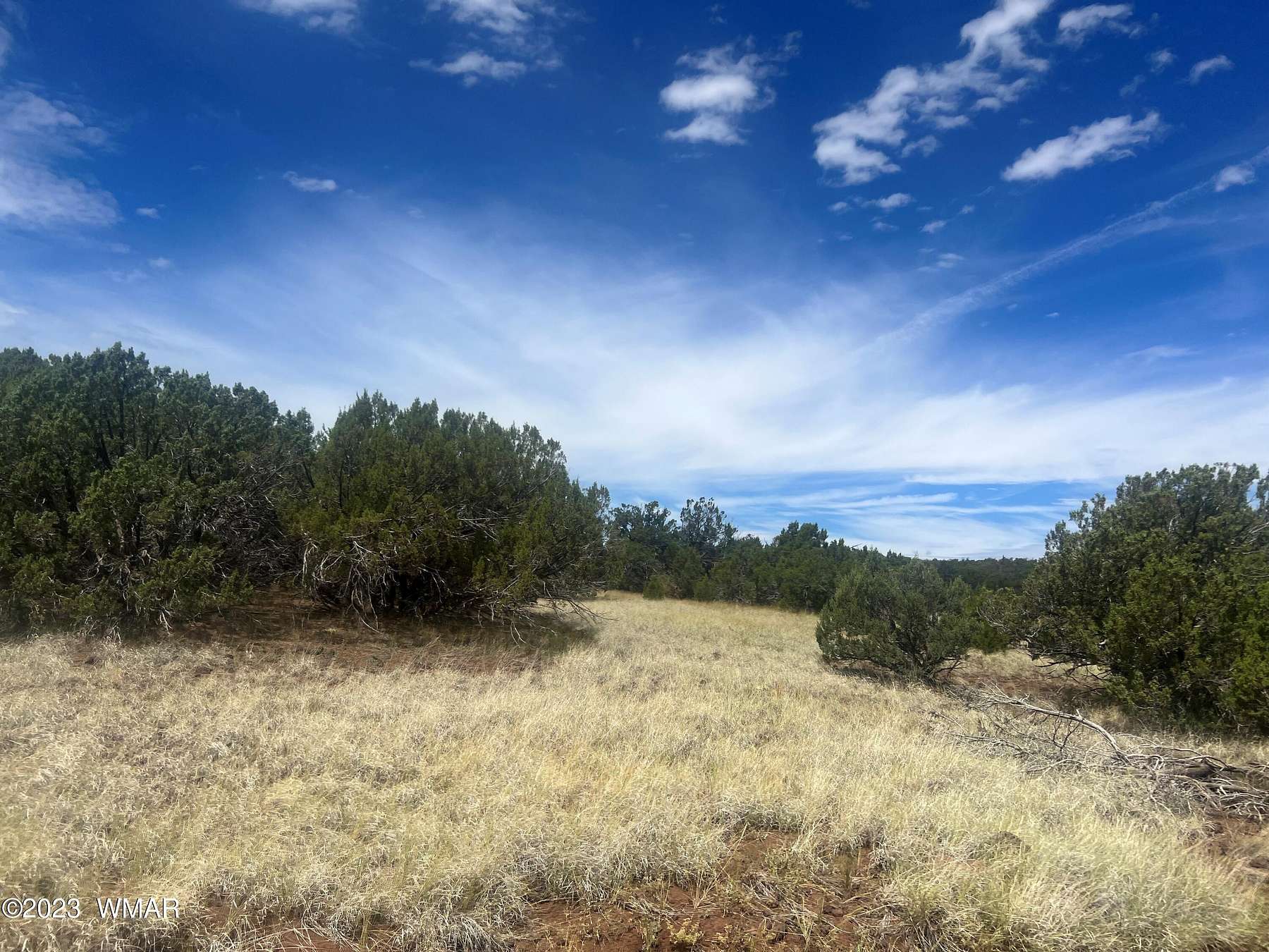 0.28 Acres of Residential Land for Sale in Concho, Arizona