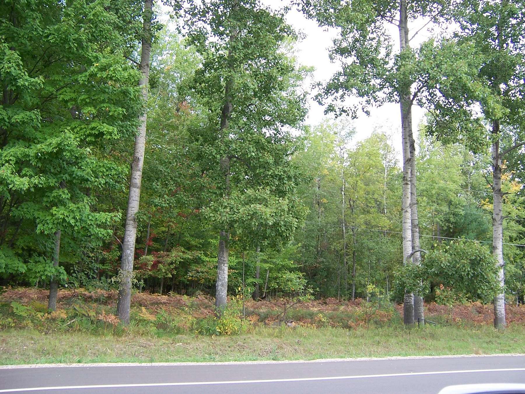 0.6 Acres of Residential Land for Sale in Roscommon, Michigan