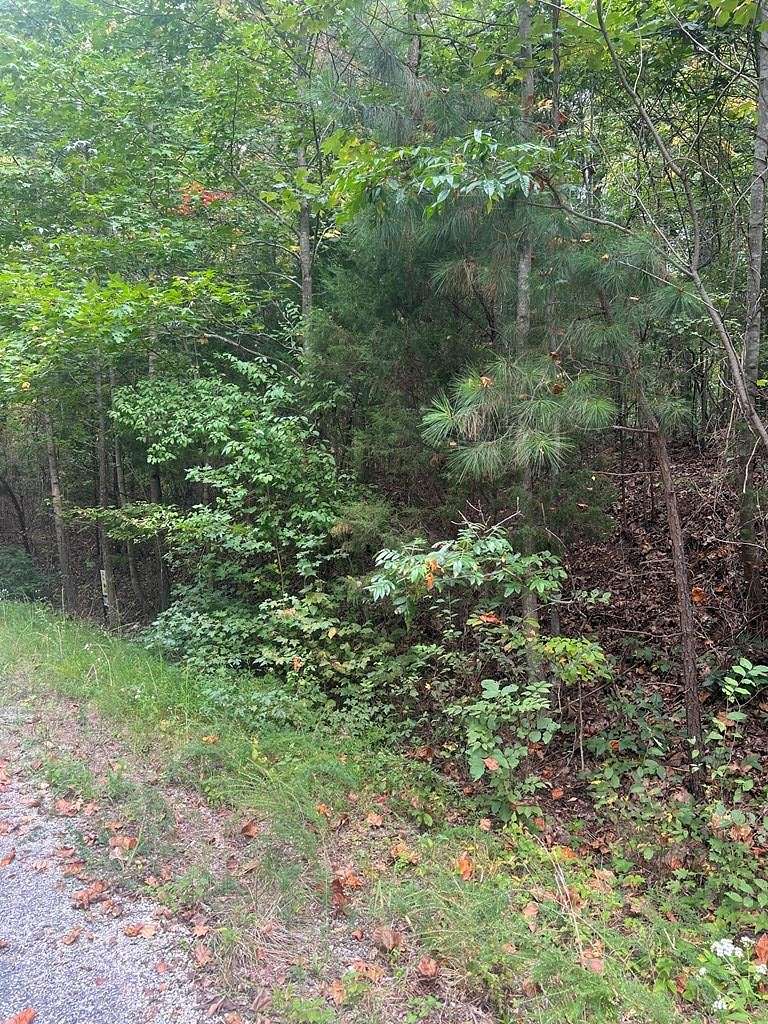 0.62 Acres of Residential Land for Sale in Springville, Tennessee