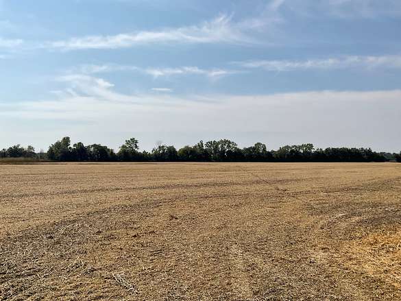 89 Acres of Agricultural Land for Sale in Clarksdale, Mississippi