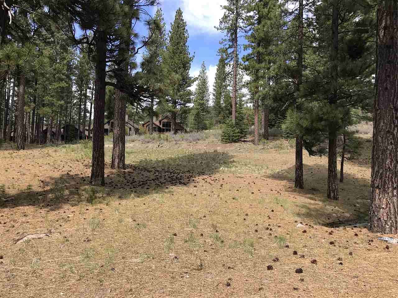 0.85 Acres of Residential Land for Sale in Clio, California