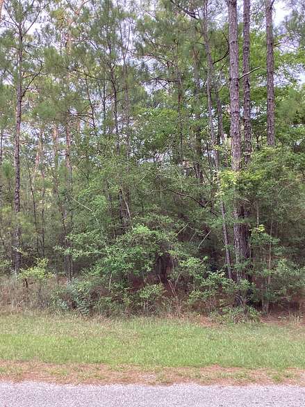 0.29 Acres of Residential Land for Sale in Brookeland, Texas