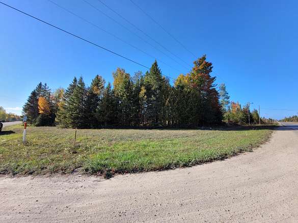 30 Acres of Land for Sale in Rogers City, Michigan