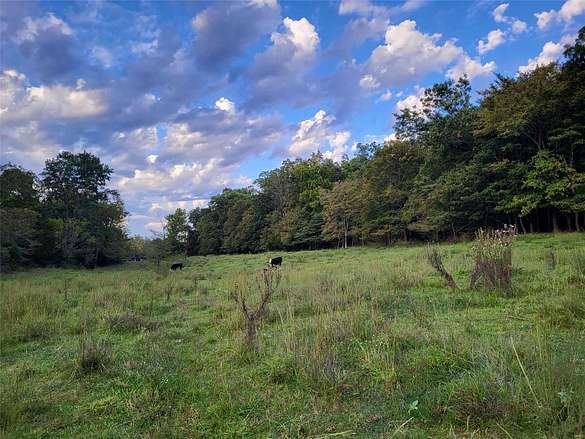 44 Acres of Recreational Land & Farm for Sale in Patton, Missouri