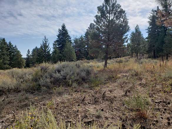11.4 Acres of Recreational Land for Sale in Waterville, Washington