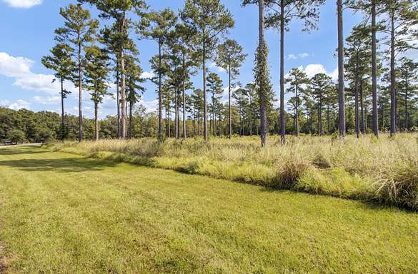 5 Acres of Land for Sale in Ravenel, South Carolina