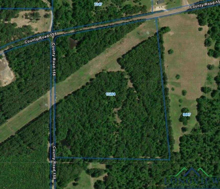 44 Acres of Recreational Land for Sale in Carthage, Texas