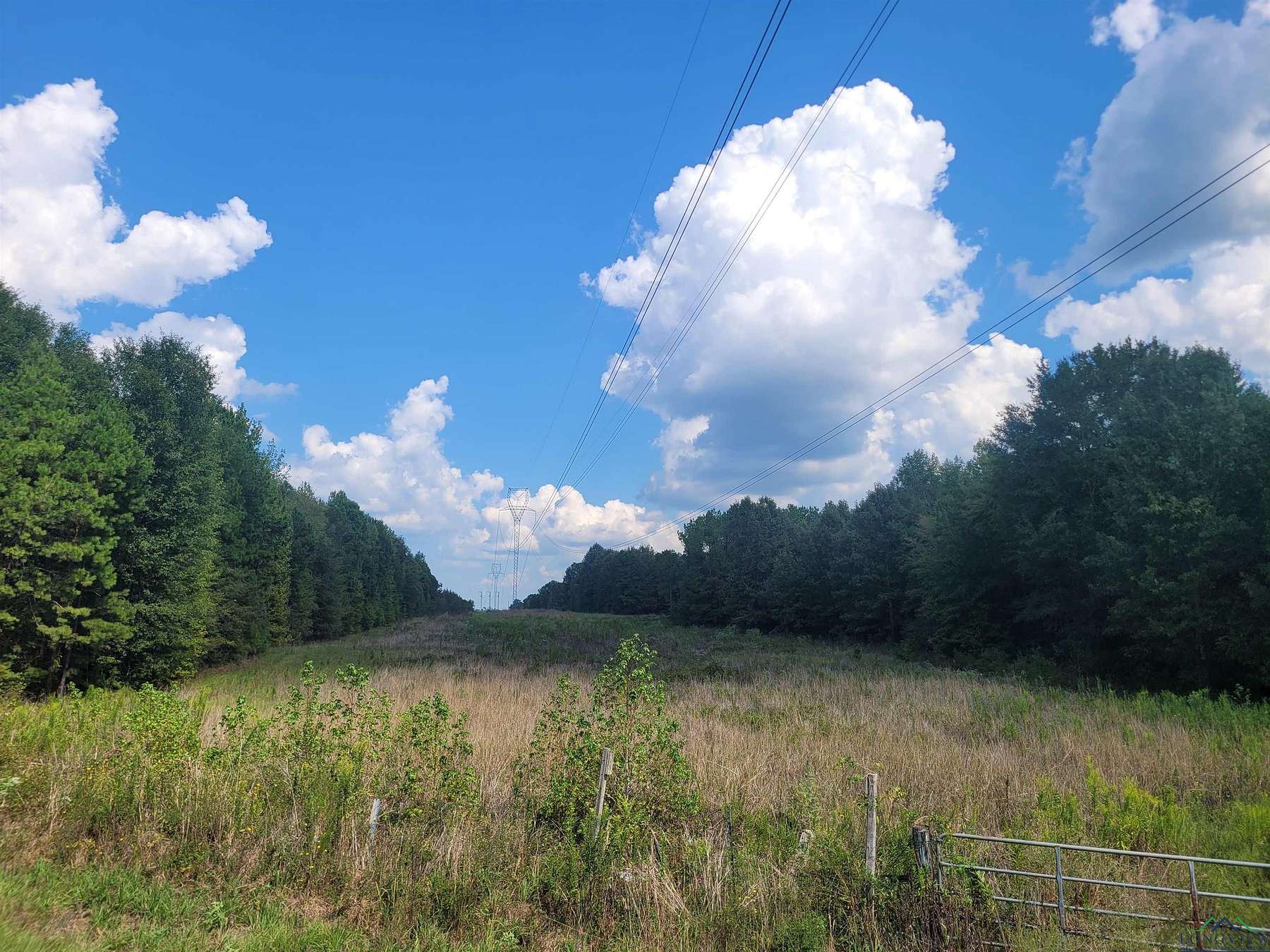44 Acres of Recreational Land for Sale in Carthage, Texas