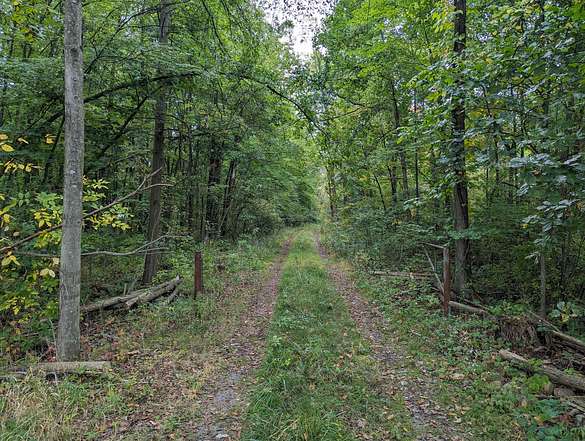 32 Acres of Recreational Land for Sale in Alliance, Ohio