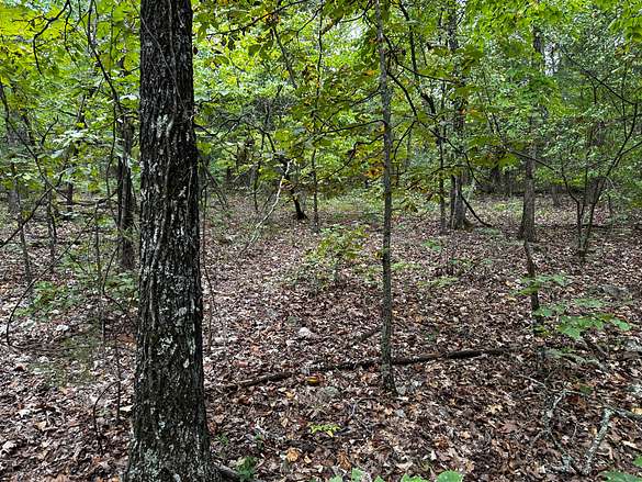 4 Acres of Land for Sale in Horseshoe Bend, Arkansas