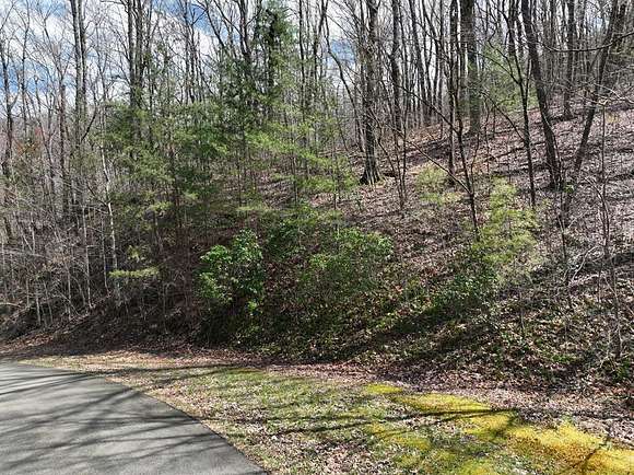 4.3 Acres of Land for Sale in Ellijay, Georgia