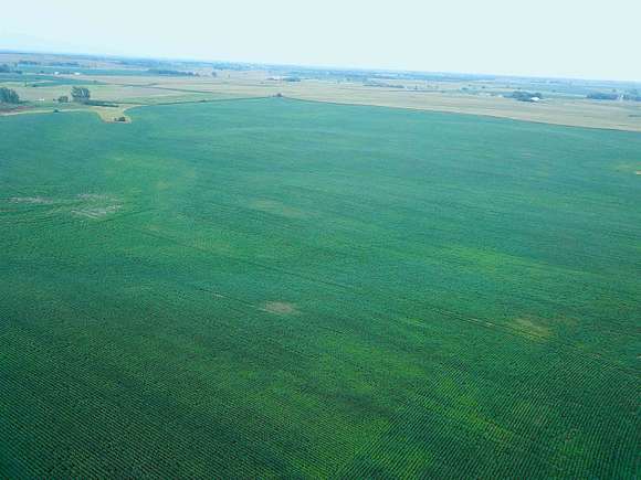 135 Acres of Agricultural Land for Sale in Chancellor, South Dakota