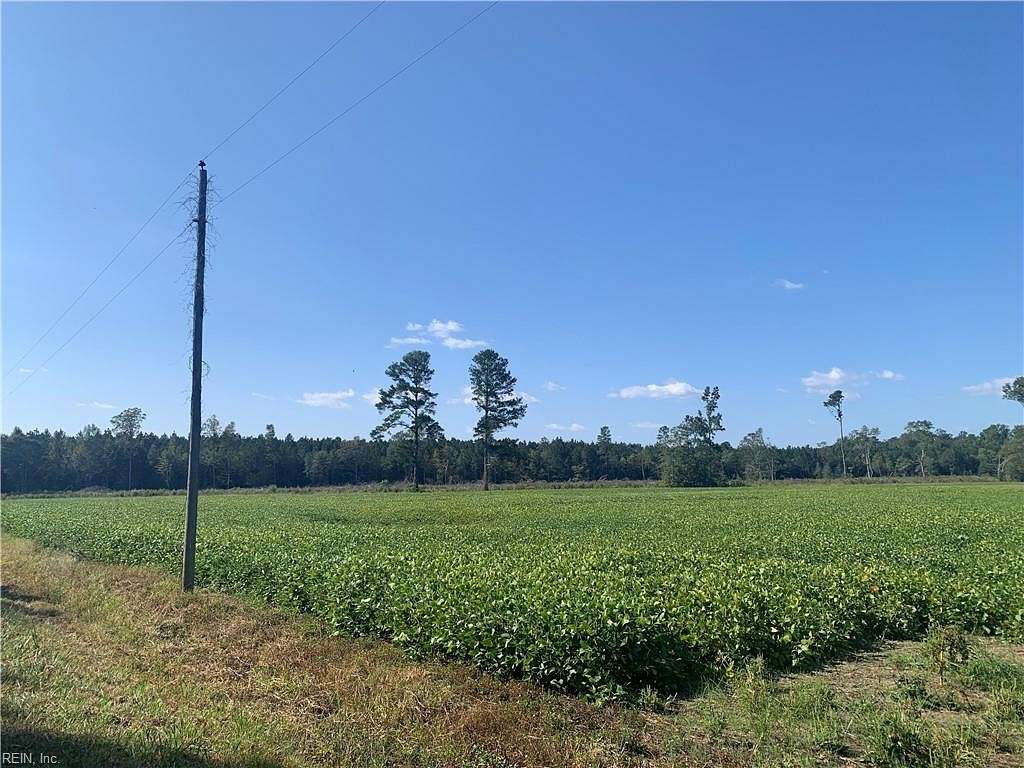 71.6 Acres of Agricultural Land for Sale in Carrsville, Virginia