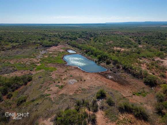 317.89 Acres of Recreational Land for Sale in Trent, Texas