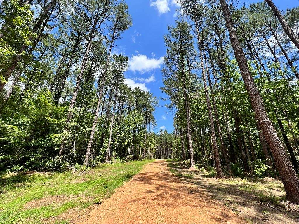15 Acres of Recreational Land for Sale in Meadville, Mississippi