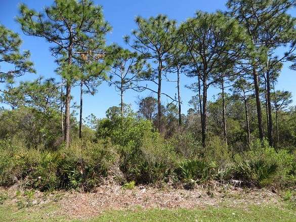 2.5 Acres of Residential Land for Sale in Carrabelle, Florida