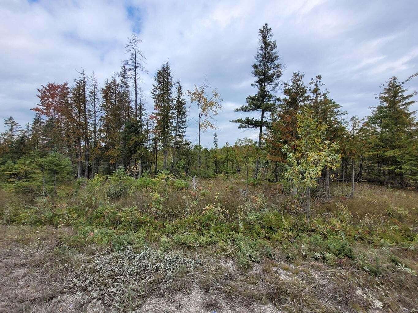10 Acres of Land for Sale in Rogers City, Michigan