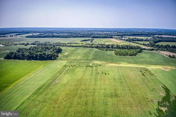 178 Acres of Land for Sale in Elkwood, Virginia