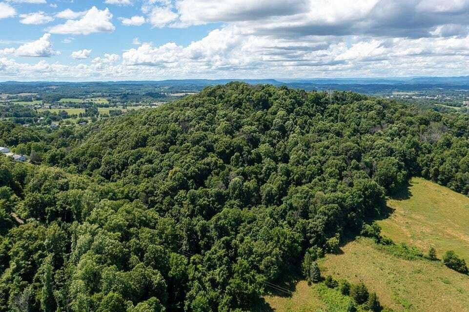 27.3 Acres of Land for Sale in Gray, Tennessee