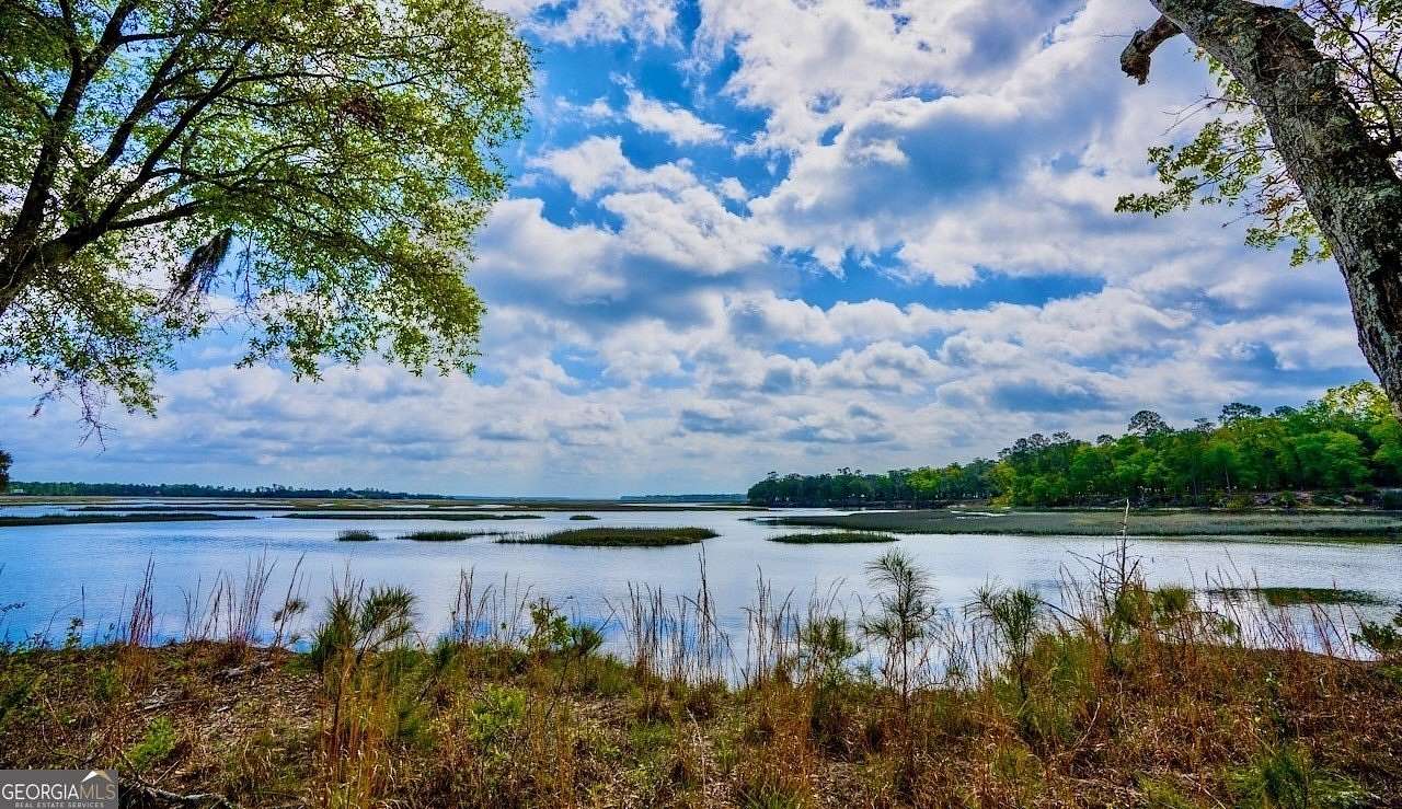 471 Acres of Recreational Land for Sale in Woodbine, Georgia