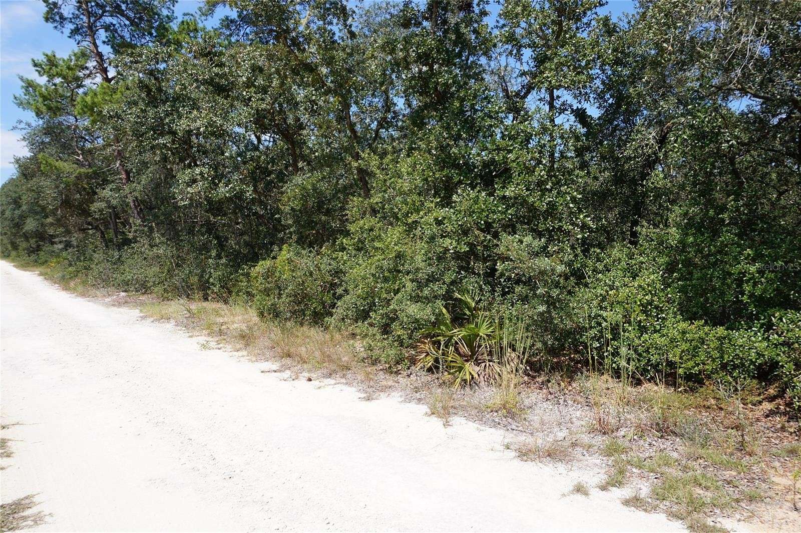 0.37 Acres of Residential Land for Sale in Fort McCoy, Florida