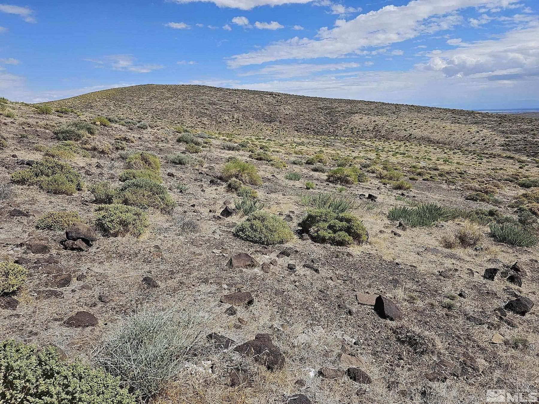 39.1 Acres of Recreational Land for Sale in Fernley, Nevada