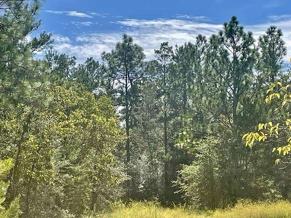 0.48 Acres of Residential Land for Sale in DeFuniak Springs, Florida
