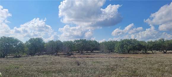 8.6 Acres of Residential Land for Sale in Riviera, Texas