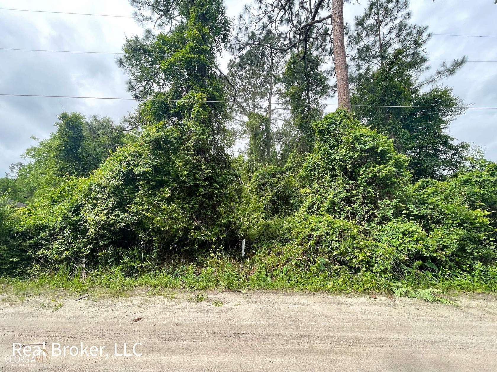 0.69 Acres of Residential Land for Sale in Waycross, Georgia