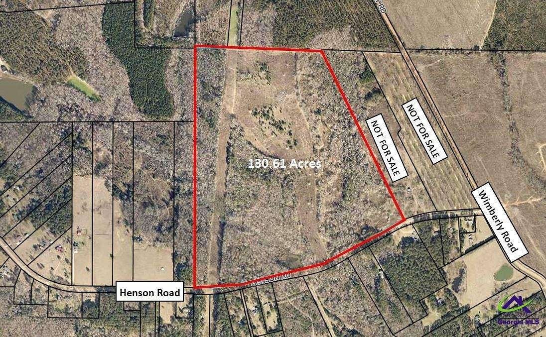 131 Acres of Land for Sale in Hawkinsville, Georgia