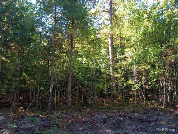 1.9 Acres of Residential Land for Sale in Marquette, Michigan